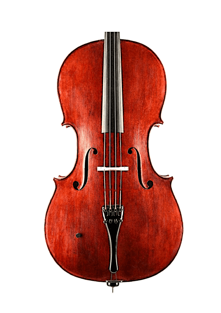 Cello Gore-Booth made in 2020